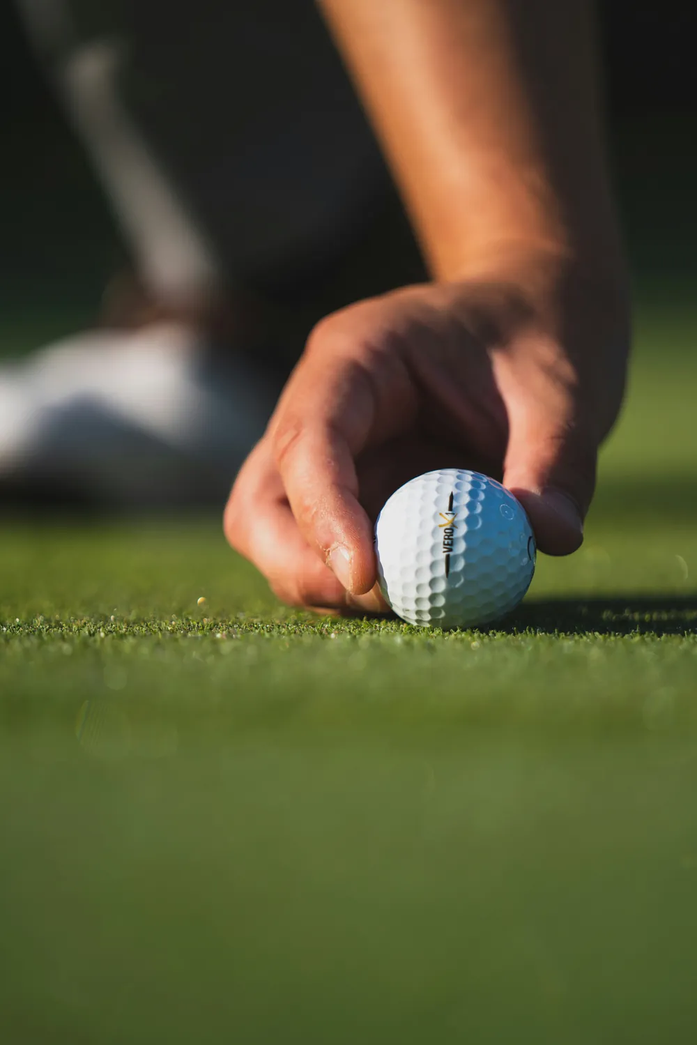 Close-up of a hand placing a white golf ball on short grass.